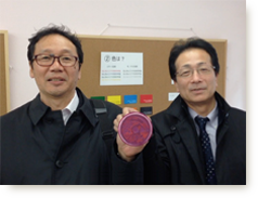 ������͂�CM Vol.104